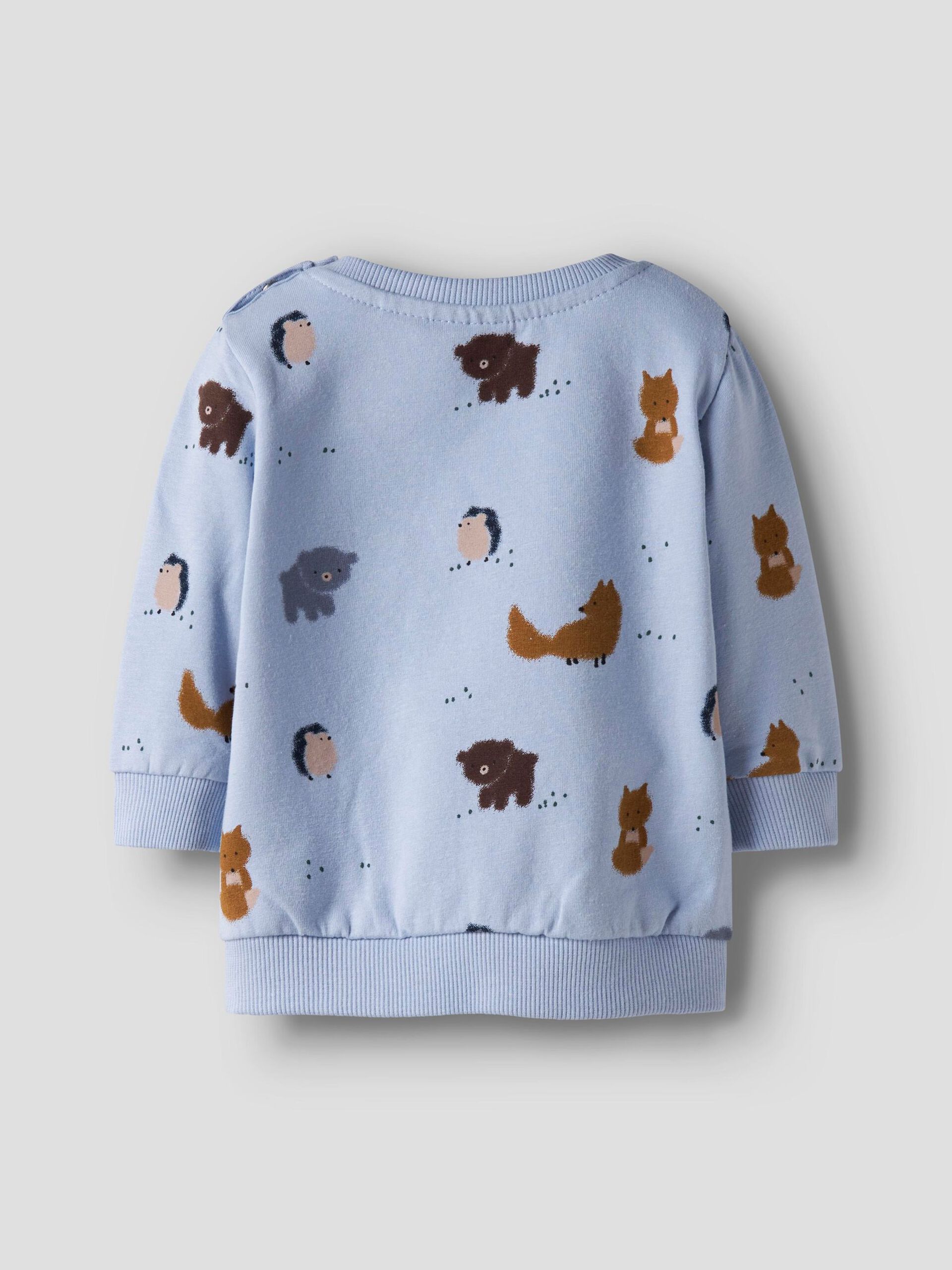 13250313_KentuckyBlue_002