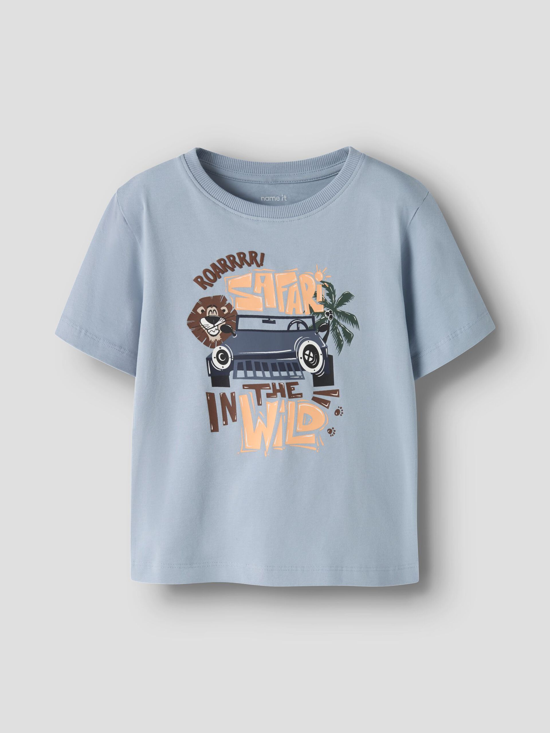 13256237_BlueFog_003