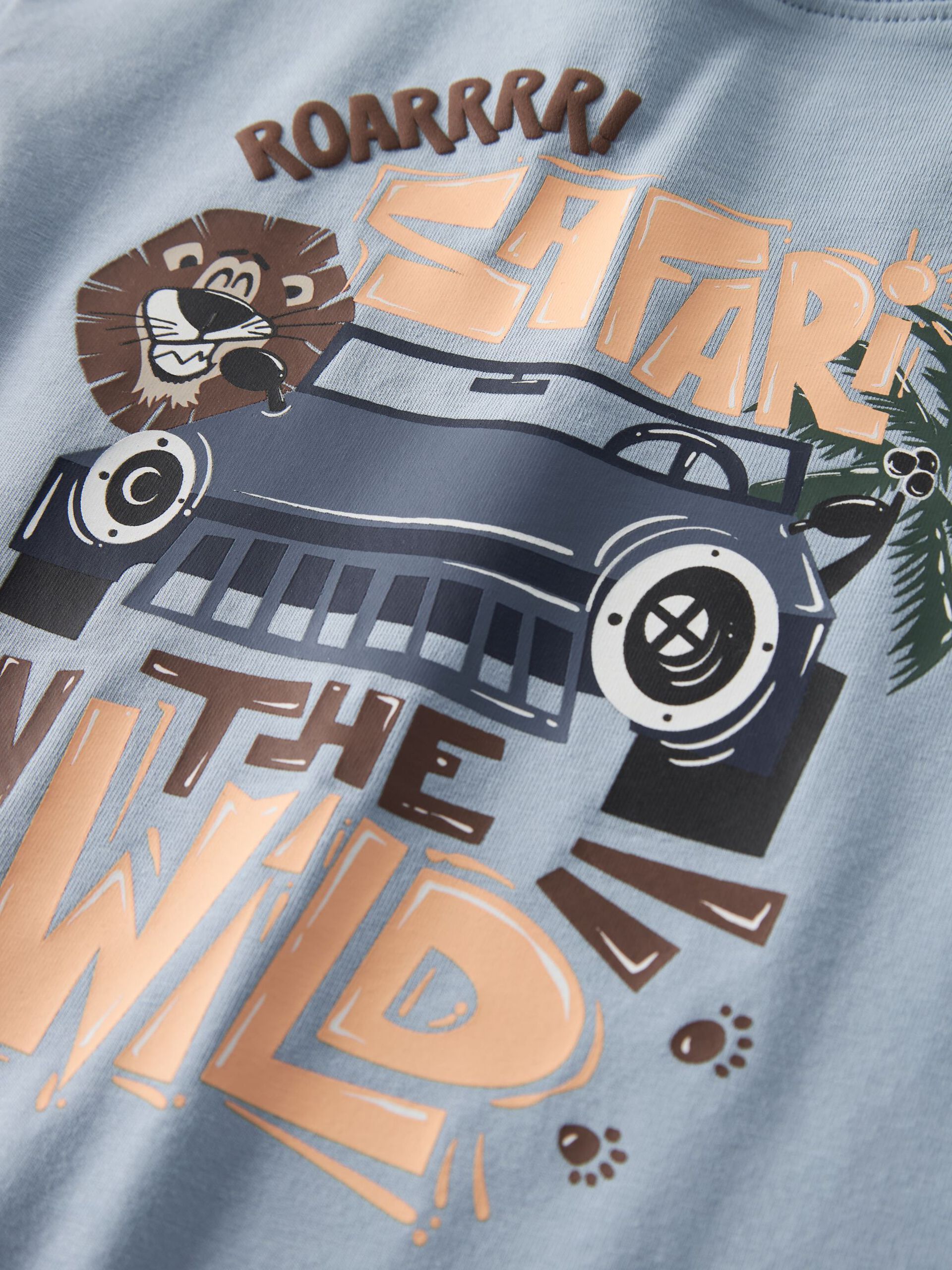 13256237_BlueFog_005